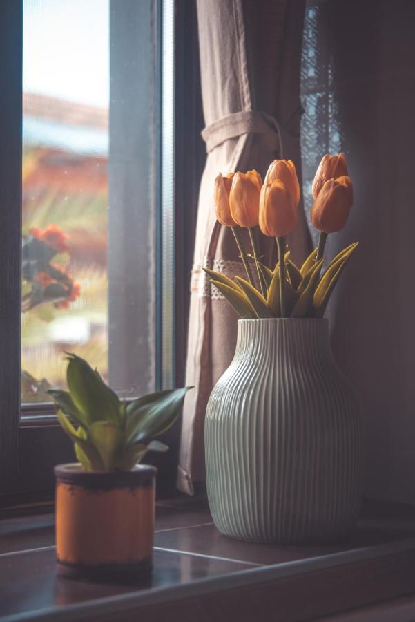 Hauptman Apartman Nagyatád Extérieur photo
